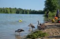 PWasser Einsatz BF FF Koeln Troisdorf Rotter See P067